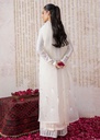 https://cdn.shopify.com/s/files/1/2337/7003/files/cropped_image-173857115949907_2c74c657-c0f1-41cc-8ad1-e2f79f43f576.jpg