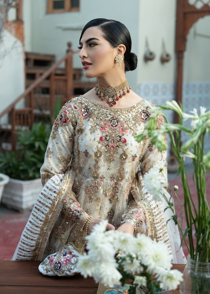 https://cdn.shopify.com/s/files/1/2337/7003/files/cropped_image-173115020373289_8f10fcee-2de2-474b-ac6a-edac6ac5eeb1.jpg