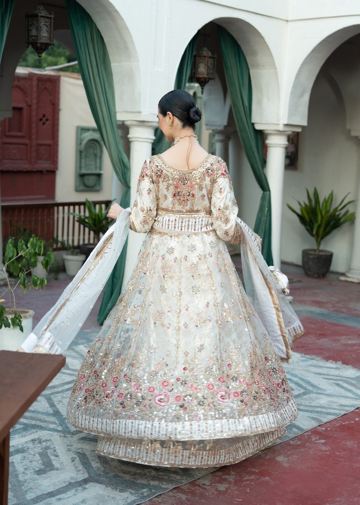 https://cdn.shopify.com/s/files/1/2337/7003/files/cropped_image-173115020375015_ba436b2e-1154-4cce-a008-456f9161db3a.jpg