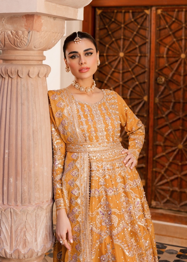 https://cdn.shopify.com/s/files/1/2337/7003/files/cropped_image-173521608819529_4632002b-7e71-4cd2-af78-ee1e6ce99795.jpg