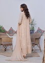 https://cdn.shopify.com/s/files/1/2337/7003/files/rim_jhim_embroidered_festive_collection-6-174143743151792_2782da76-5da6-403c-ba34-df0ae3f0bc28.jpg