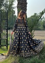 https://cdn.shopify.com/s/files/1/2337/7003/files/cropped_image-172969138877043_1bbbf34a-094a-4228-b475-ffd0ce9c802e.jpg