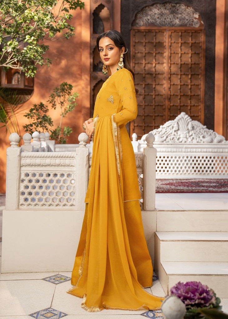 https://cdn.shopify.com/s/files/1/2337/7003/files/cropped_image-173936326438351_063f9286-f285-446c-be98-931062d2e754.jpg