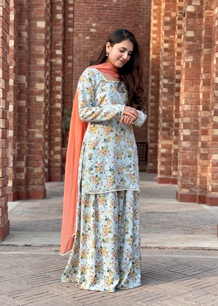 https://cdn.shopify.com/s/files/1/2337/7003/files/cropped_image-173921705077617_e0f26642-b6ff-4251-8d32-6a256ad07a44.jpg