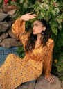 https://cdn.shopify.com/s/files/1/2337/7003/files/cropped_image-172596541665275_b01c4db9-bfc7-4c0d-a8e7-8ccfb67a15e1.jpg