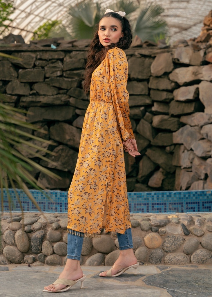 https://cdn.shopify.com/s/files/1/2337/7003/files/cropped_image-172596541632394_824d6696-fa14-40dd-b3af-b3d80e8b36fc.jpg