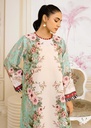 https://cdn.shopify.com/s/files/1/2337/7003/files/cropped_image-173919031046716_4713154e-da59-4e34-b333-e0c0ad3d0f1a.jpg