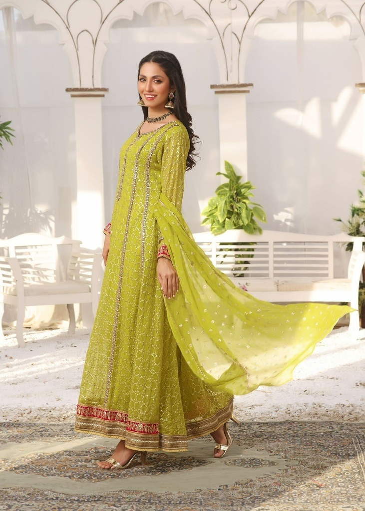 https://cdn.shopify.com/s/files/1/2337/7003/files/cropped_image-172708604427003_48a57c35-0bf2-4f8a-b9cc-146e2053001c.jpg