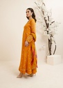 https://cdn.shopify.com/s/files/1/2337/7003/files/cropped_image-173053745179022_a31e7a50-b404-4e9e-a591-734b95710b1e.jpg