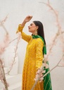 https://cdn.shopify.com/s/files/1/2337/7003/files/cropped_image-172551863417282_09f13385-7e5e-48ce-b2e5-28c5bd66a742.jpg