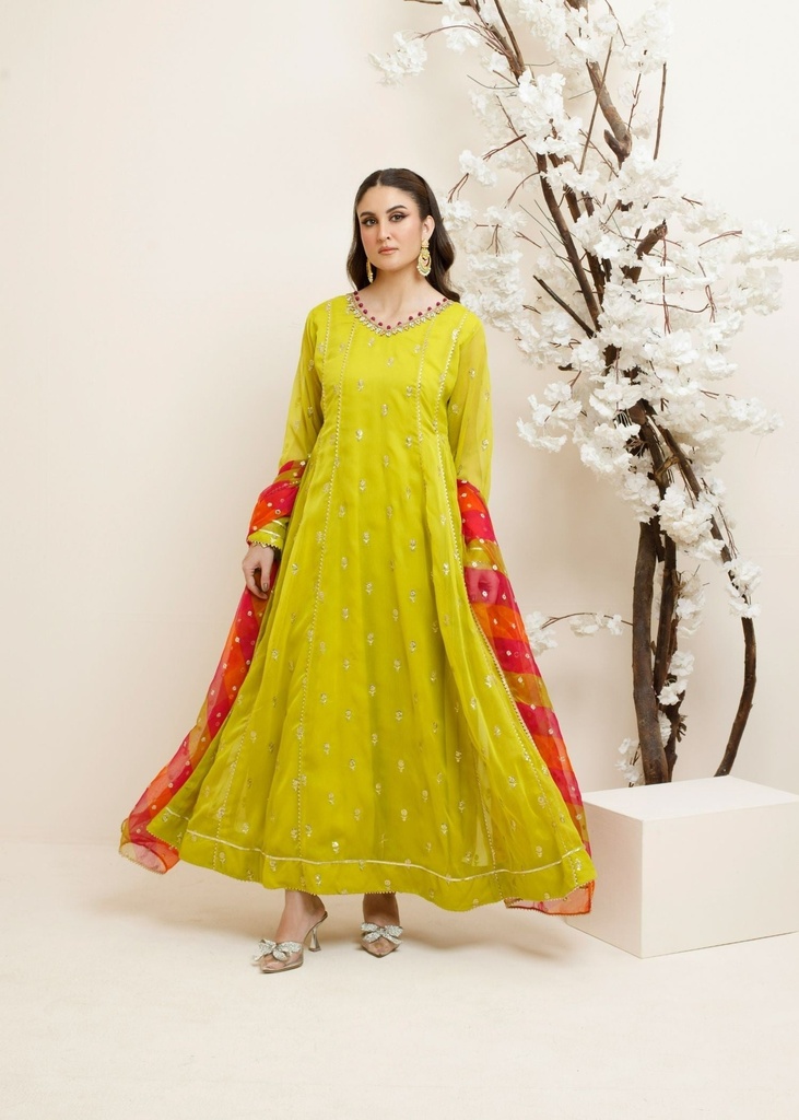 https://cdn.shopify.com/s/files/1/2337/7003/files/cropped_image-173053720624936_d4bd1770-856c-45a5-b108-0e0c6be3d295.jpg