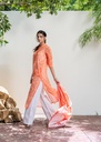 https://cdn.shopify.com/s/files/1/2337/7003/files/media_image-174182393276402_7b97bb76-b7ef-4c3a-8fac-b65ca3143a18.jpg
