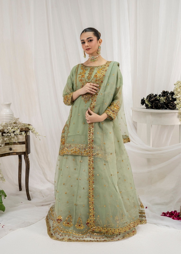 https://cdn.shopify.com/s/files/1/2337/7003/files/cropped_image-173773389899189_e100ec89-d7f0-4a0d-ae44-2ed521d34c07.jpg