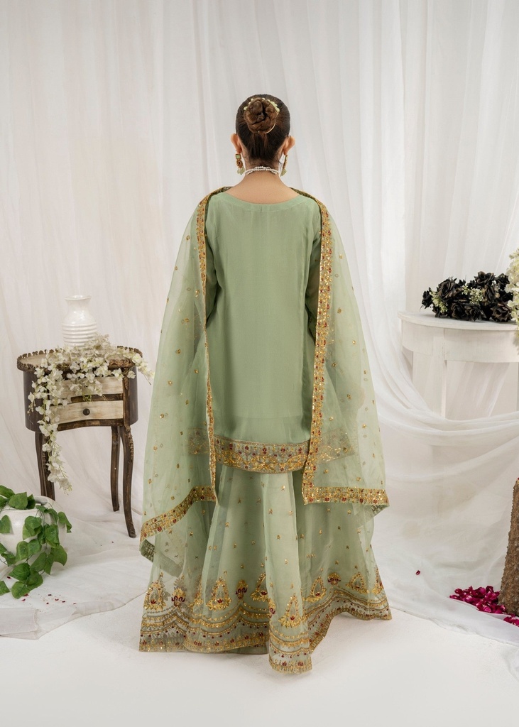 https://cdn.shopify.com/s/files/1/2337/7003/files/cropped_image-173773389833024_9d07fd26-7279-427f-a244-2cc539654f25.jpg