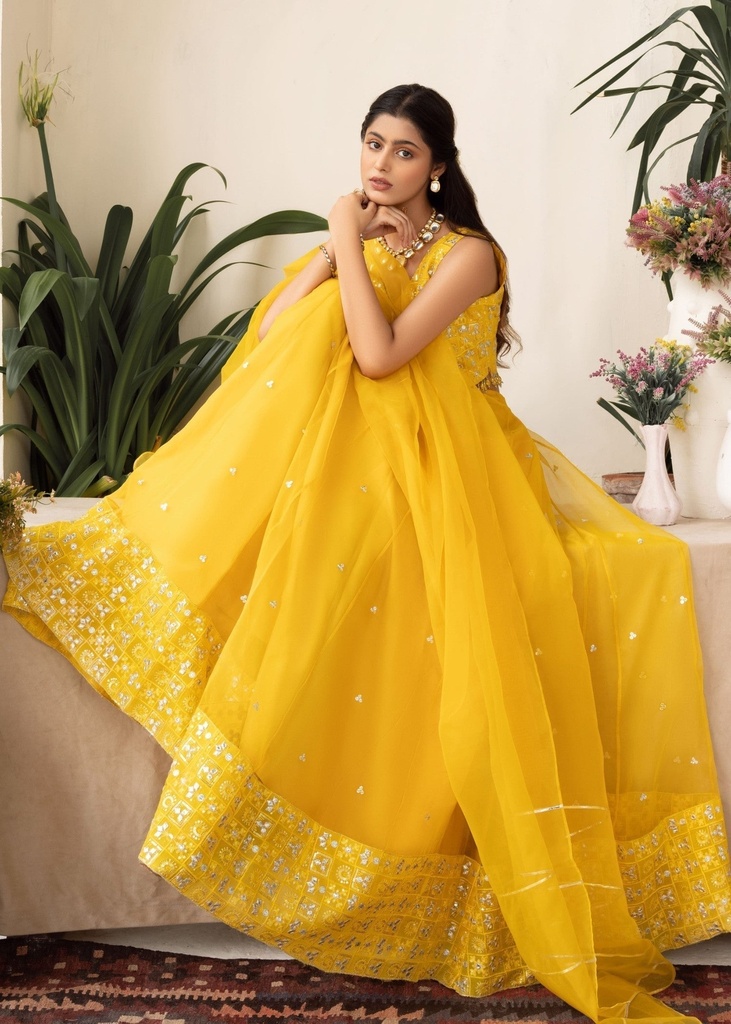 https://cdn.shopify.com/s/files/1/2337/7003/files/cropped_image-172569607979761_14726d46-a21f-47cf-8c76-e8f5bce7ca9d.jpg
