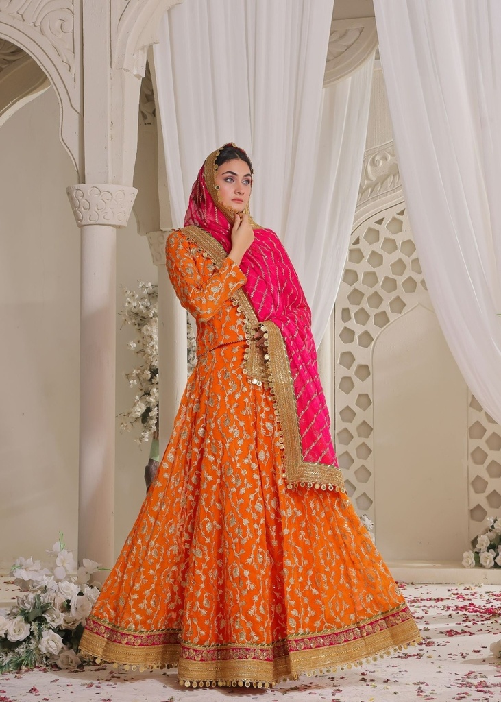 https://cdn.shopify.com/s/files/1/2337/7003/files/cropped_image-172742165042146_4a22343f-5064-4117-8dba-6105f5a0a59f.jpg