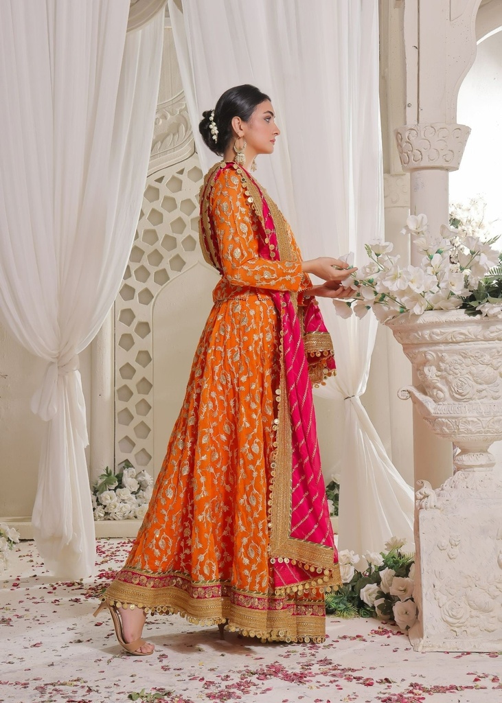 https://cdn.shopify.com/s/files/1/2337/7003/files/cropped_image-172742165041558_4a103dd9-5d1a-4d7f-b1b9-7fa10ef650ed.jpg
