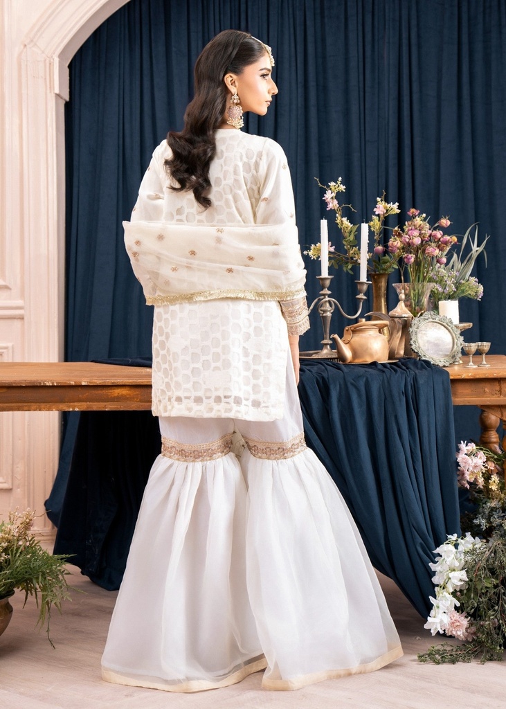 https://cdn.shopify.com/s/files/1/2337/7003/files/cropped_image-173623562219061_cb3fb362-1ba9-4978-b4cf-0ba66809b7d2.jpg
