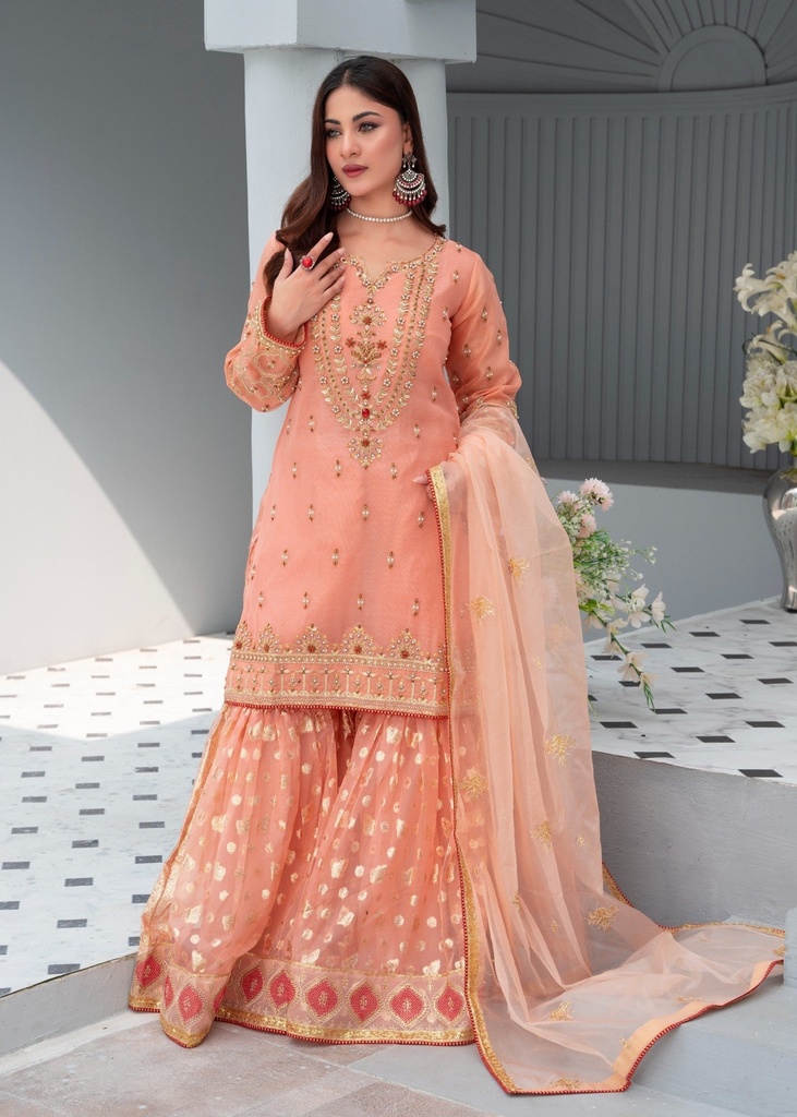 https://cdn.shopify.com/s/files/1/2337/7003/files/cropped_image-172440779973357_a9c0c25a-4bb5-4f0f-9e95-ab5620ffa153.jpg