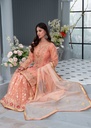 https://cdn.shopify.com/s/files/1/2337/7003/files/cropped_image-172440779979294_61029094-c744-48b1-8067-31d4282f2e75.jpg