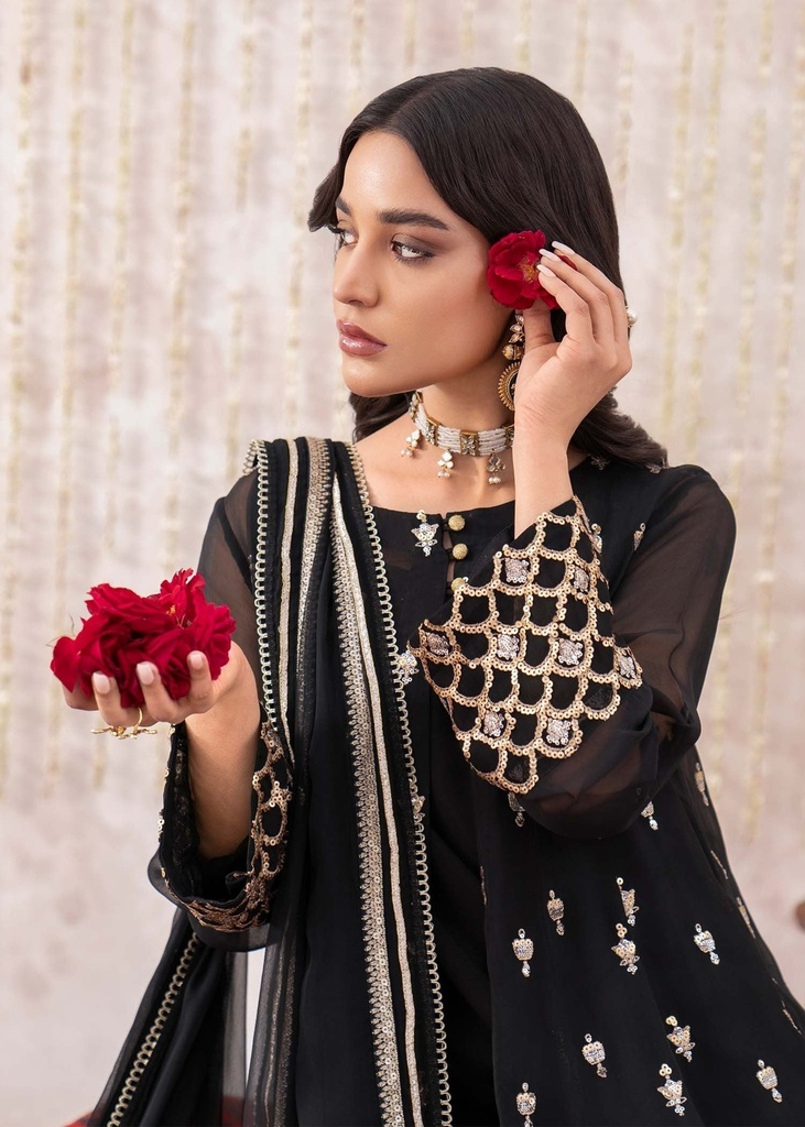 https://cdn.shopify.com/s/files/1/2337/7003/files/cropped_image-173857071320988_79164a70-5a13-4134-a191-764a86cc98cd.jpg
