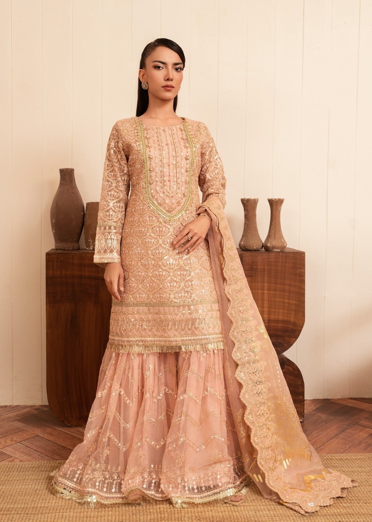 Organza Gharara in Peach pink