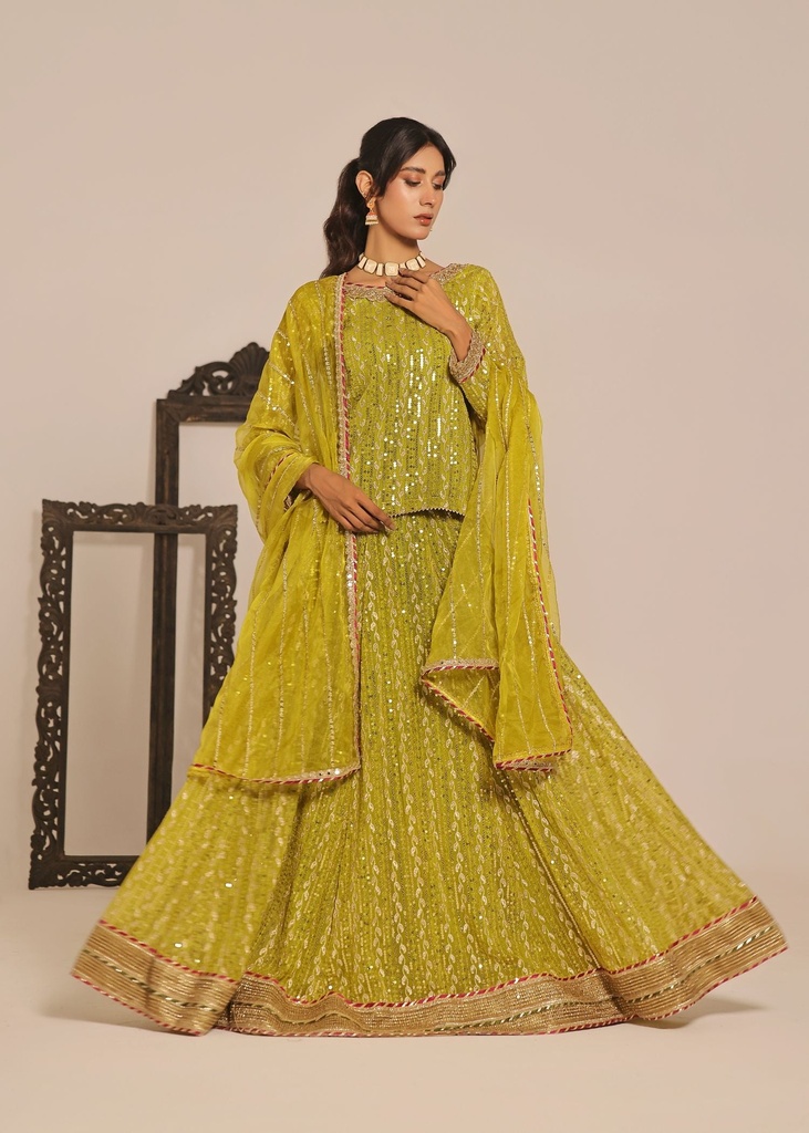 Chiffon Lehenga in Apple green