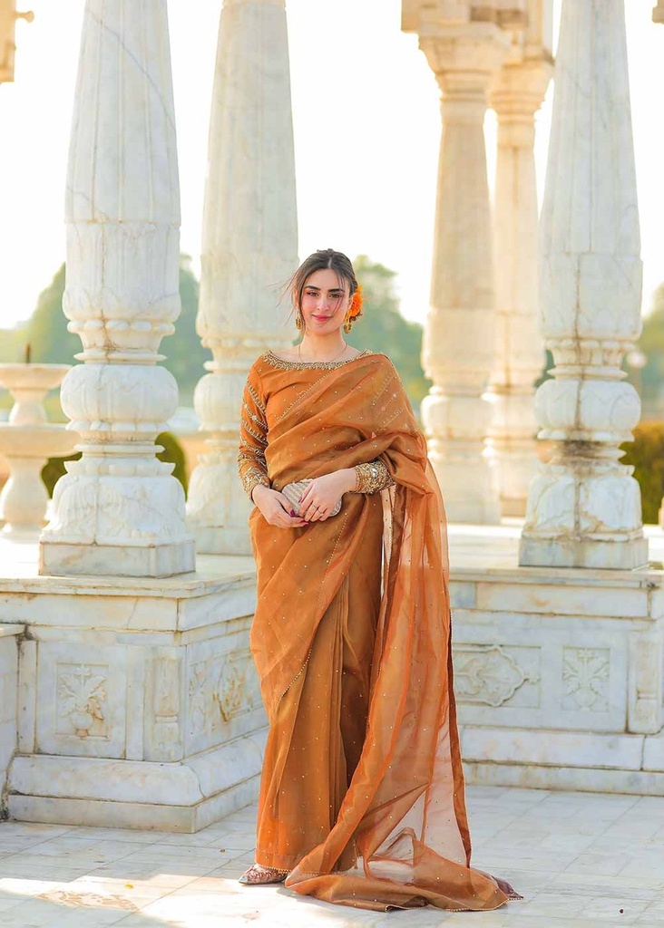 Organza Saree in Pumpkin orange