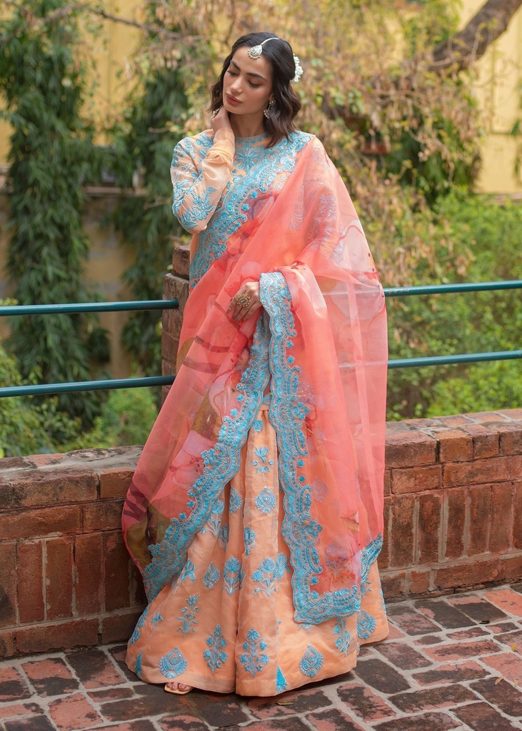 Sharara in Coral pink by Ali Xeeshan