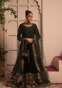 Pishwas in Green by Tabassum