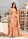 Lehenga in Peach pink by Ayesha Closet