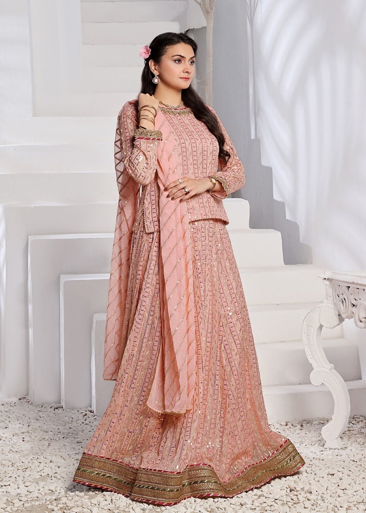 Lehenga in Pink by Ayesha Closet