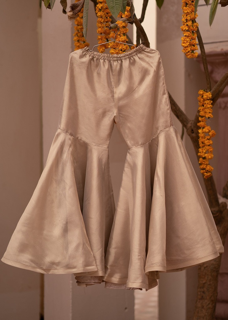 Gharara in Champagne by Tabassum