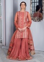 Gharara in Salmon by Rang-e-Haya