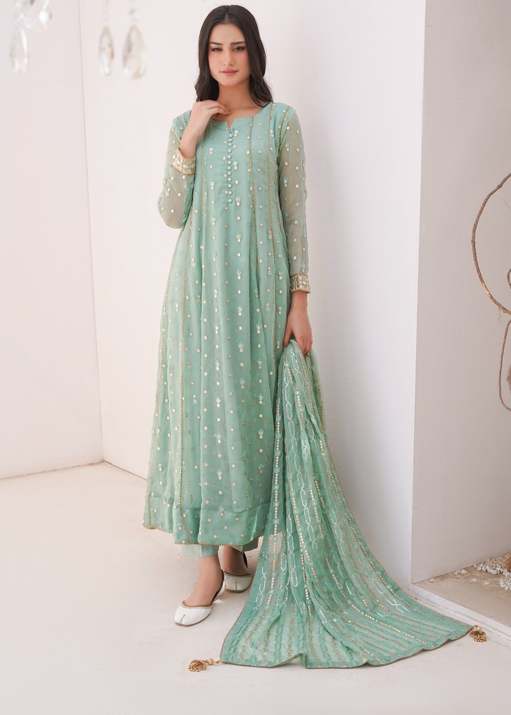 Chiffon Anarkali in Pastel green