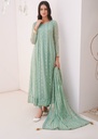 Chiffon Anarkali in Pastel green