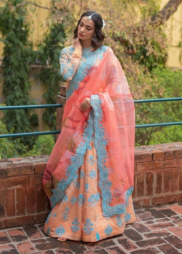 [SIQ4024] Sharara in Coral pink by Ali Xeeshan