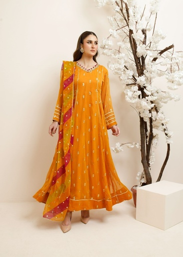 [TPM3674] Anarkali in Orange by Ayesha Closet