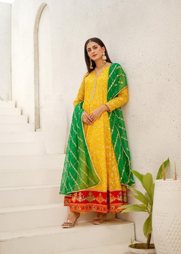 [GNL3886] Anarkali in Yellow by Ayesha Closet