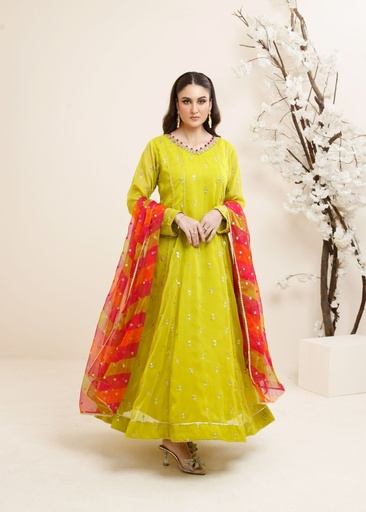 [WBW0448] Anarkali in Apple green by Ayesha Closet