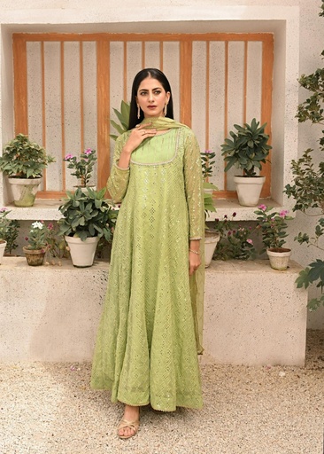 [EXD9443] Anarkali in Pistachio green by Ayesha Closet