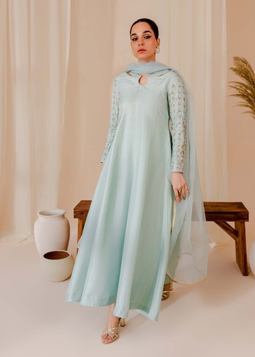 [HDW5327] Pishwas in Powder blue by Allure By Ih