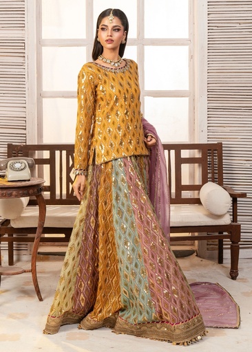 [HAN4837] Lehenga in Multi by Ayesha Closet