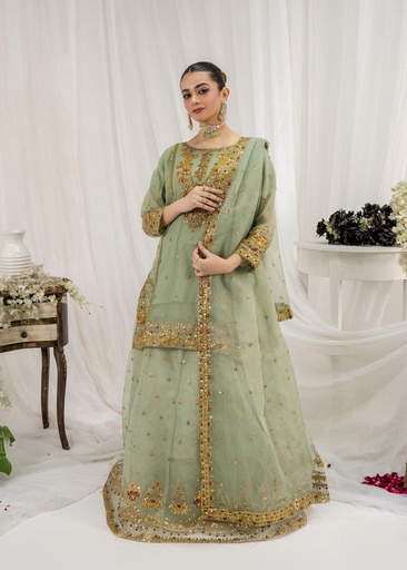 [TAT9661] Lehenga in Apple green by Pehnawa By Bin Akram’s