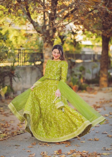 [FHI4392] Lehenga in Apple green by Peraan by SH