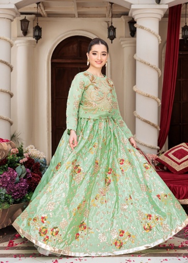 [LYY1490] Lehenga in Pistachio green by Costumo