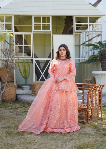 [EMT5371] Lehenga in Baby pink by Safiya Collection