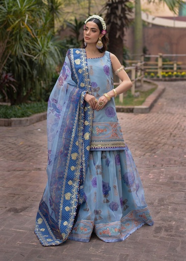 [VTV6935] Gharara in Ice blue by Ali Xeeshan