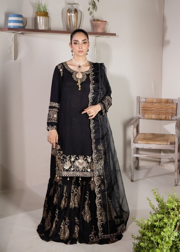 [XTH1036] Gharara in Jet black by Pehnawa By Bin Akram’s