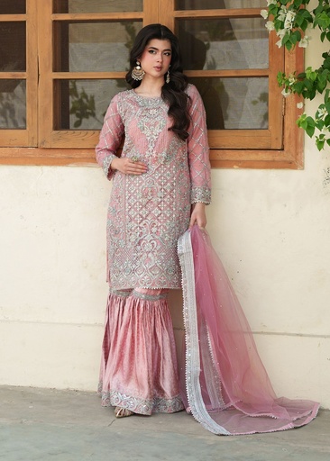 [BAO1395] Gharara in Pink by Haseens Official